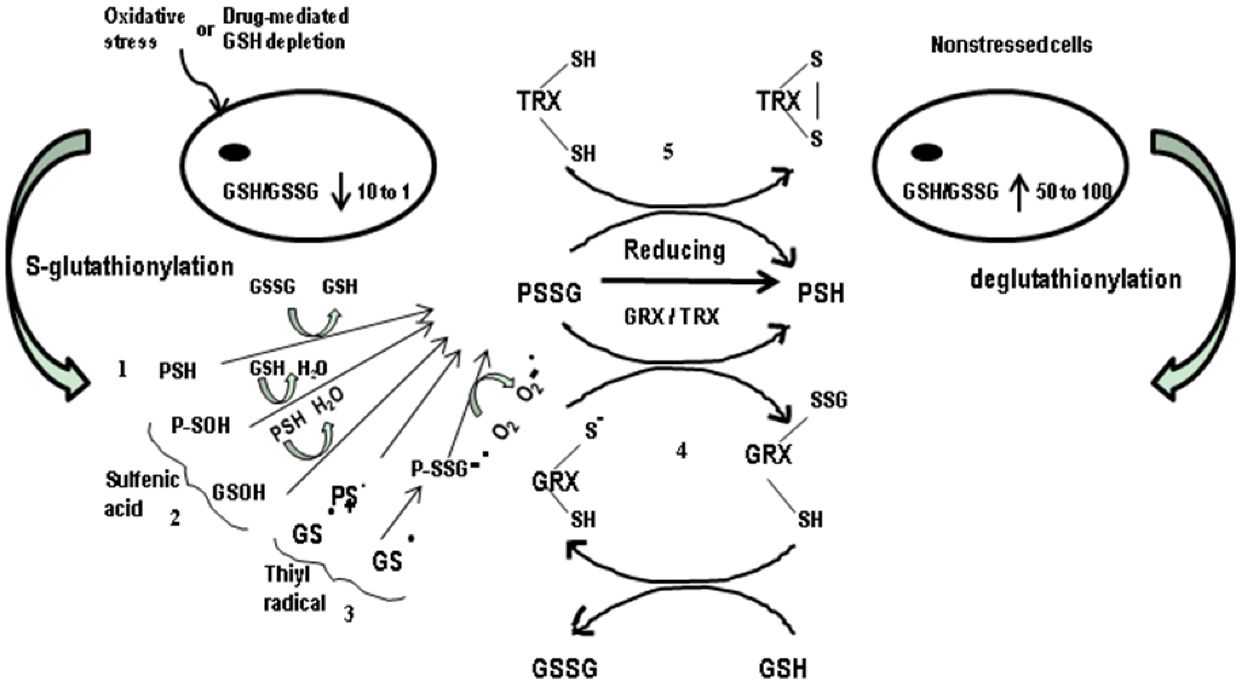 Nutrients 05 00525 g001