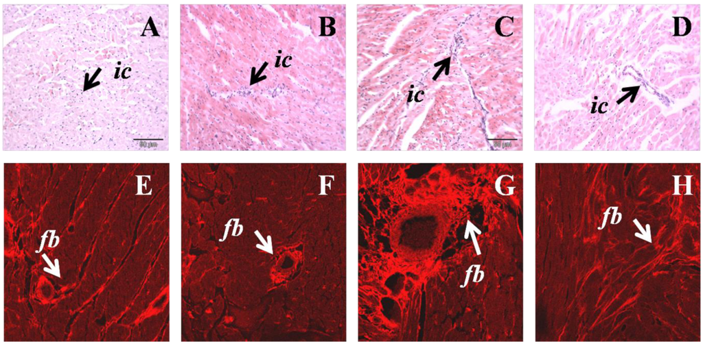Nutrients 05 00637 g002 1024