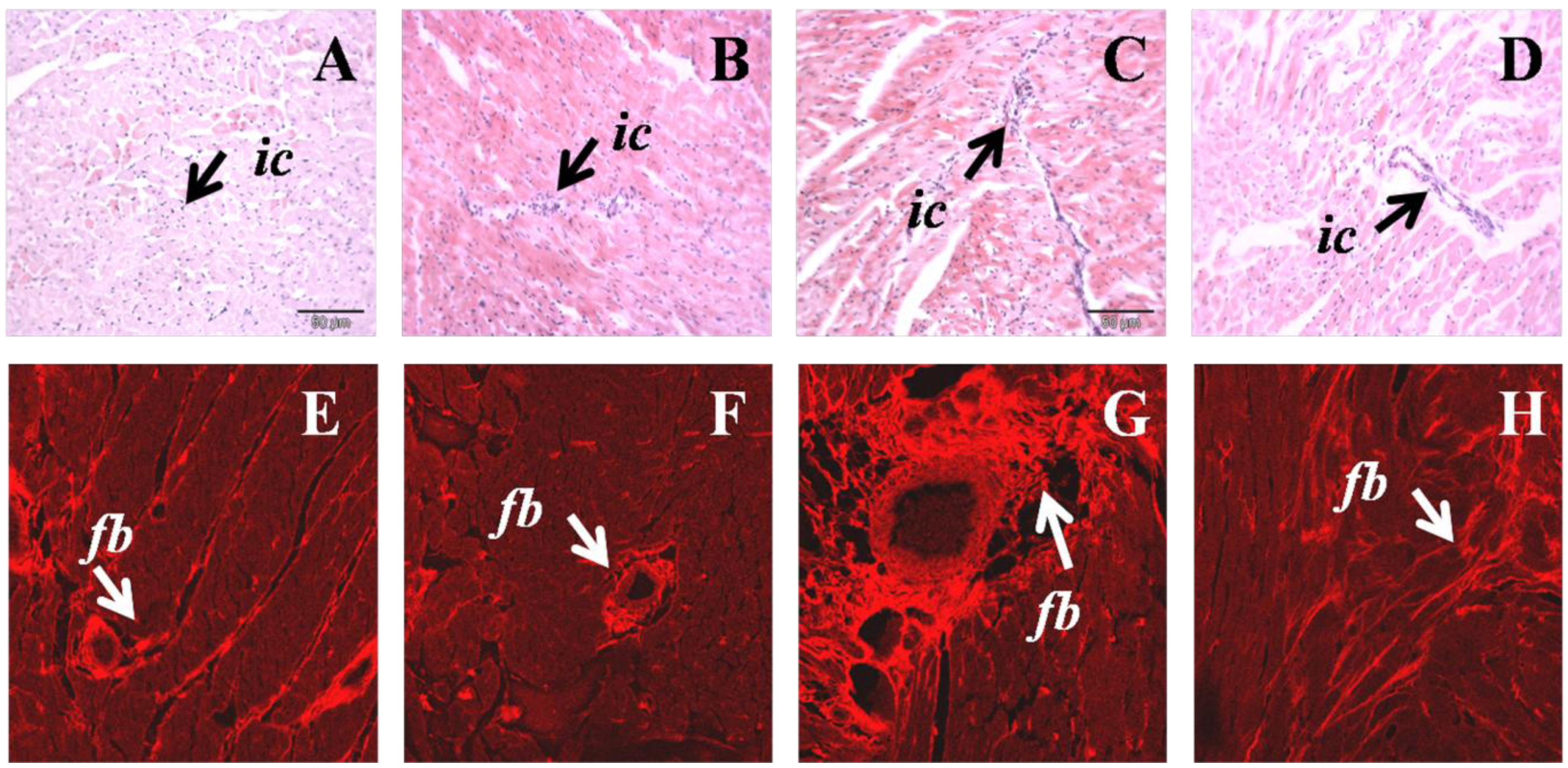 Nutrients 05 00637 g002