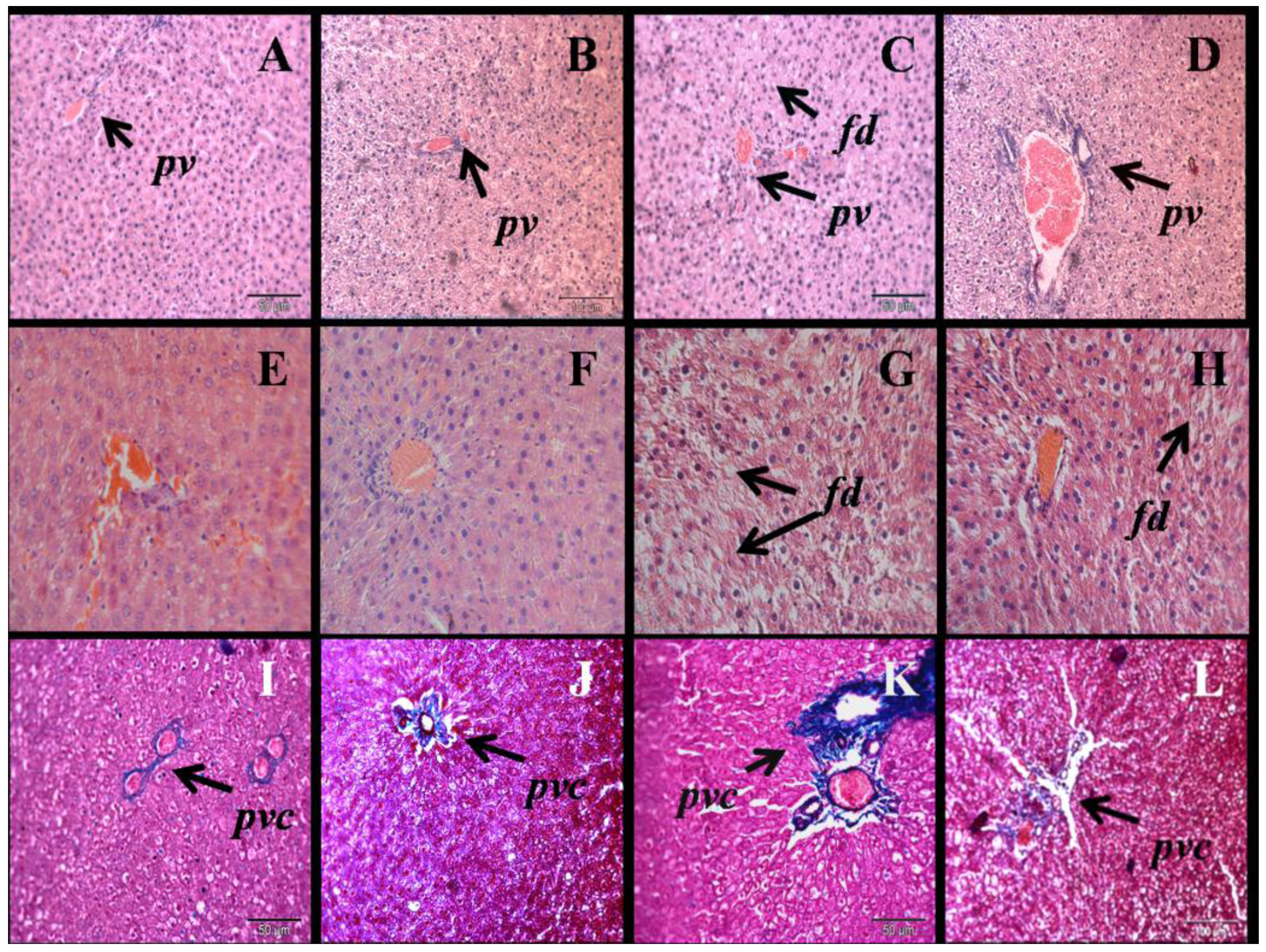Nutrients 05 00637 g004