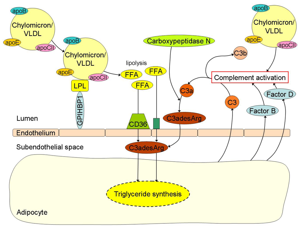 Nutrients 05 01218 g002 1024
