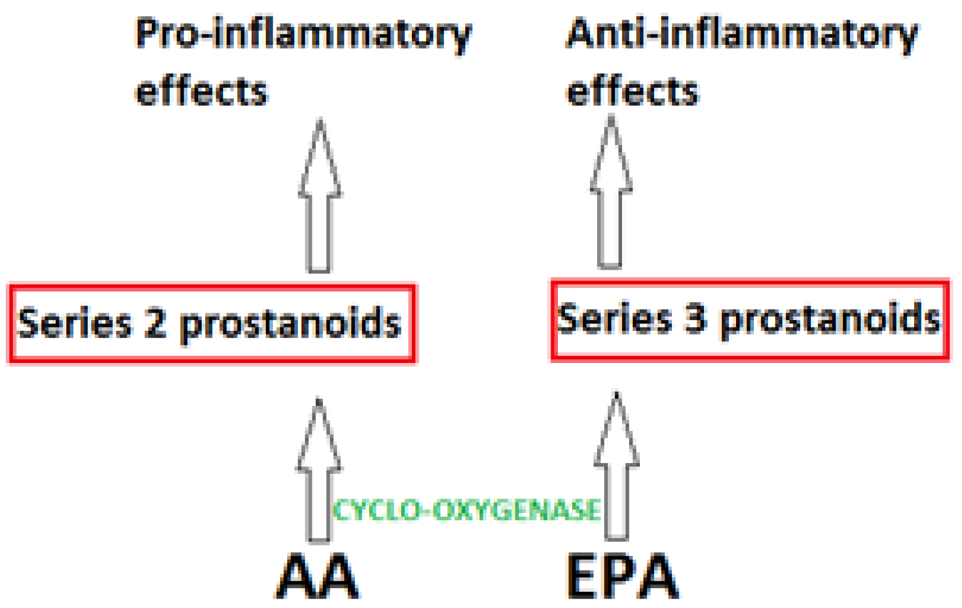 Nutrients 05 01301 g002