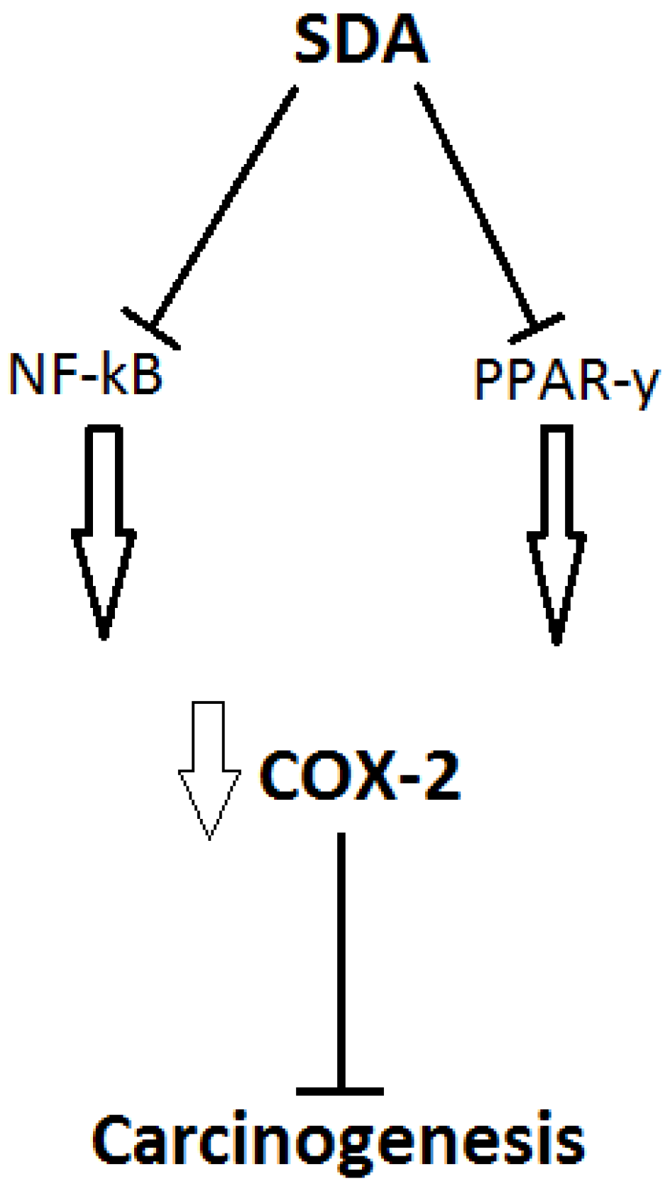 Nutrients 05 01301 g003 1024