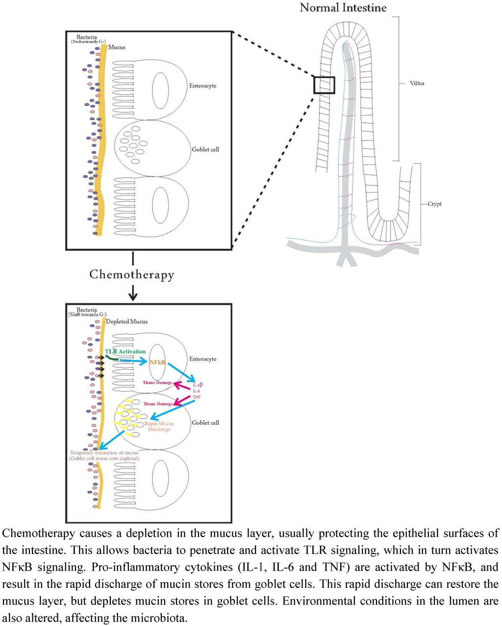 Nutrients 05 01488 g001 1024