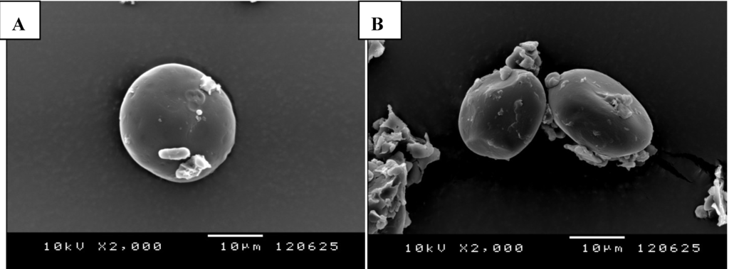 Nutrients 05 01970 g001 1024