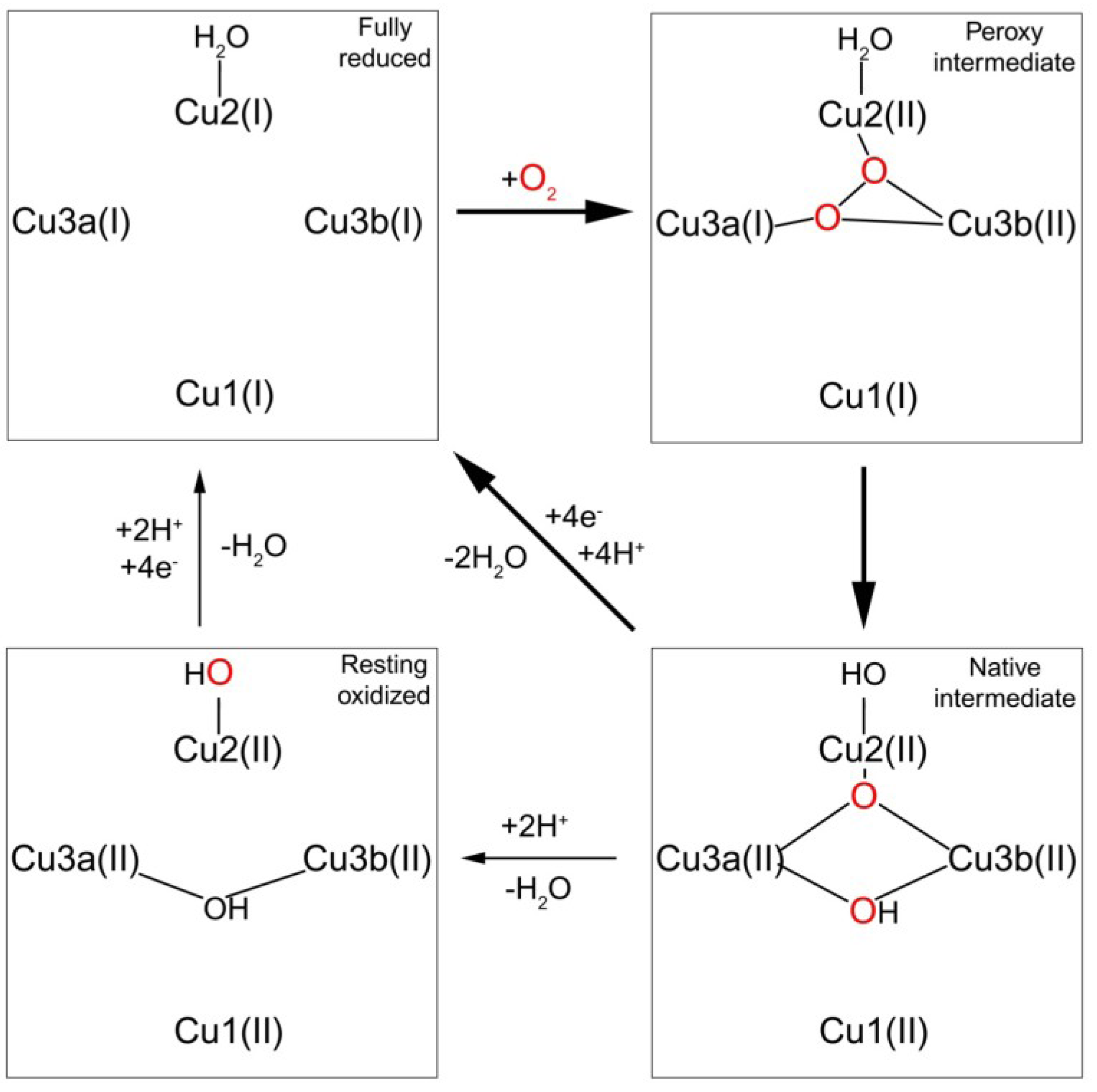 Nutrients 05 02289 g002