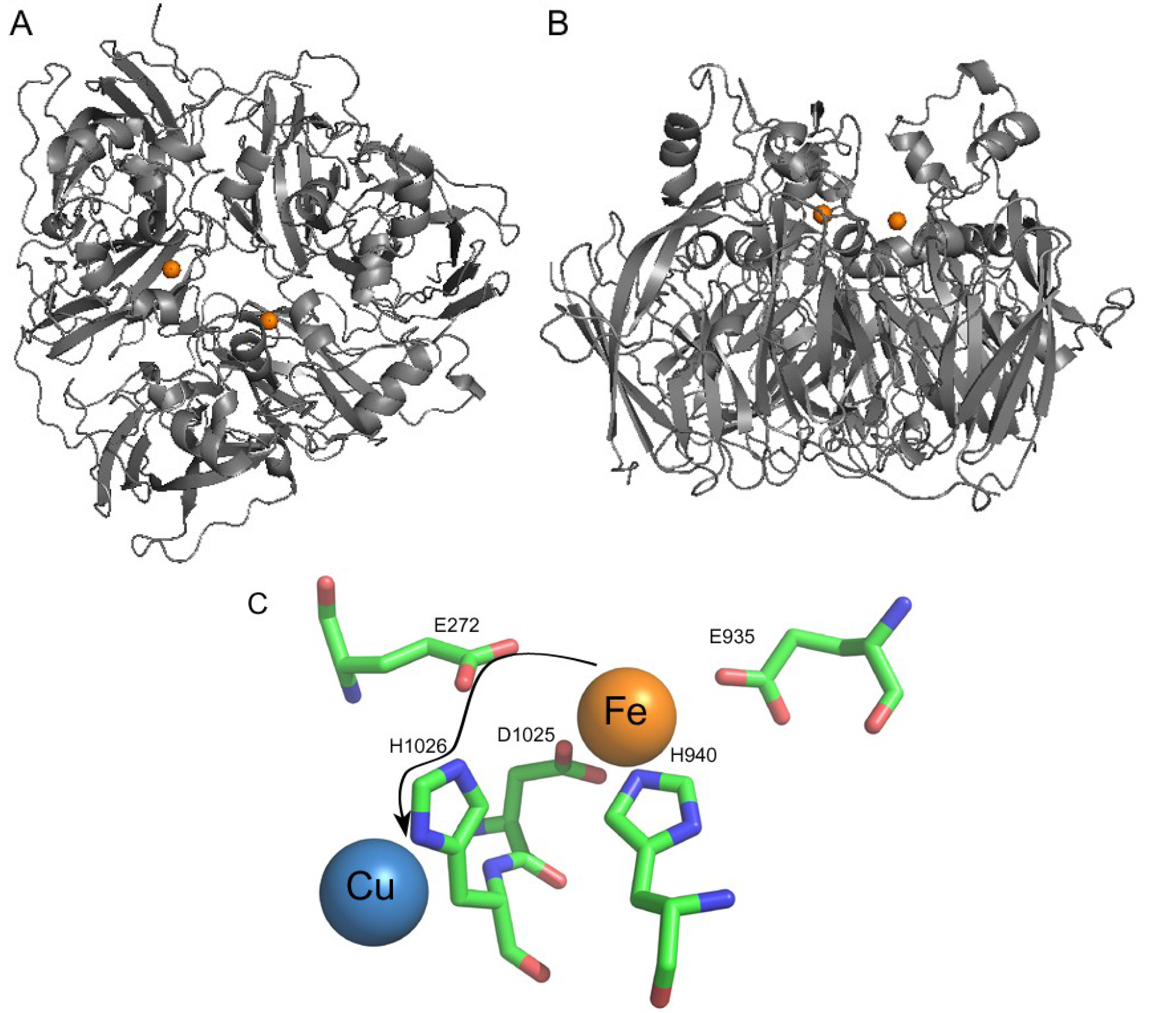 Nutrients 05 02289 g003