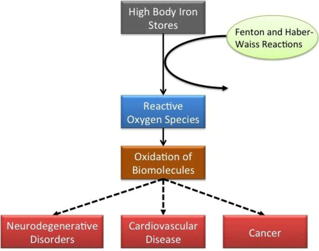Nutrients 05 02384 g001 1024