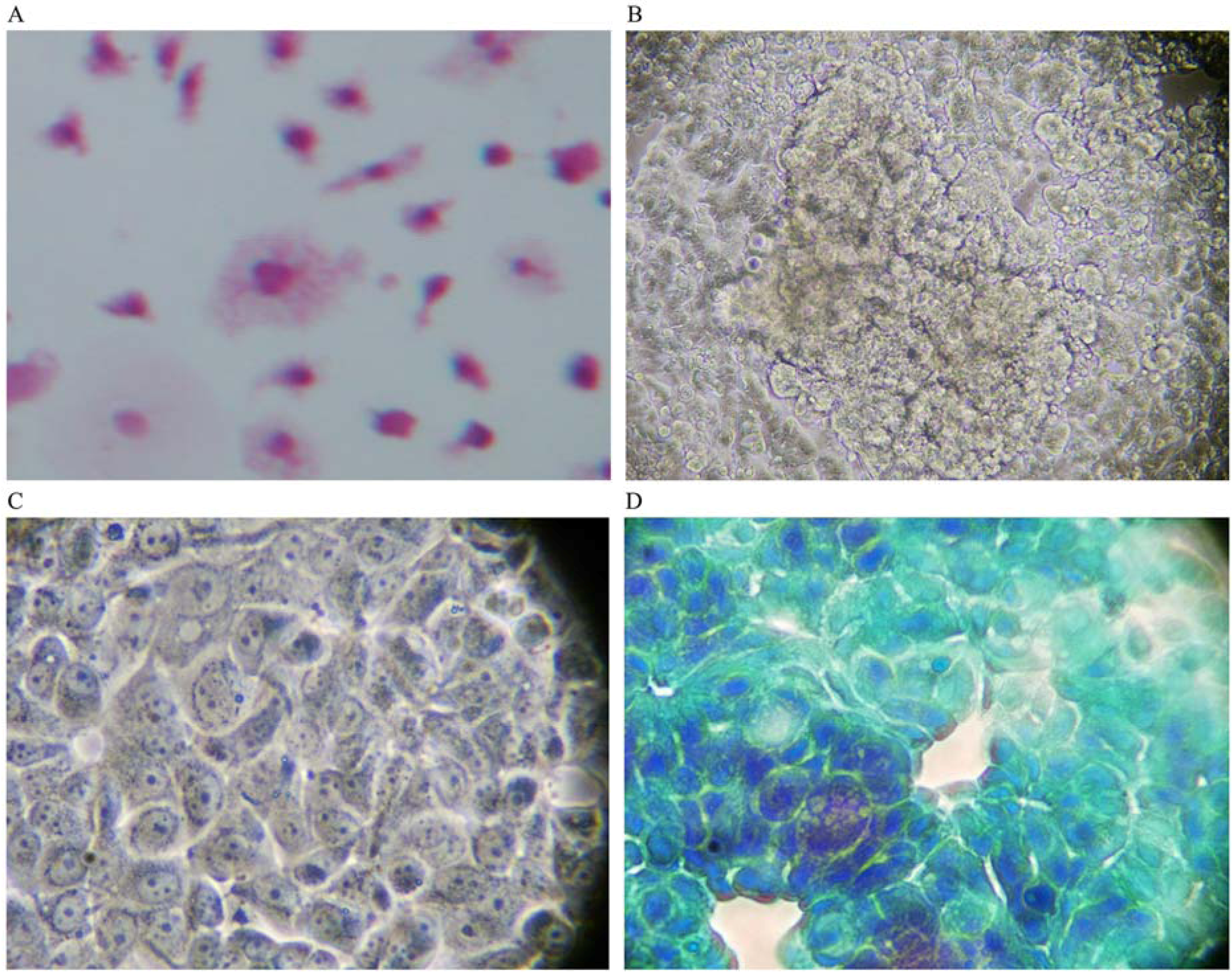 Nutrients 05 02577 g001