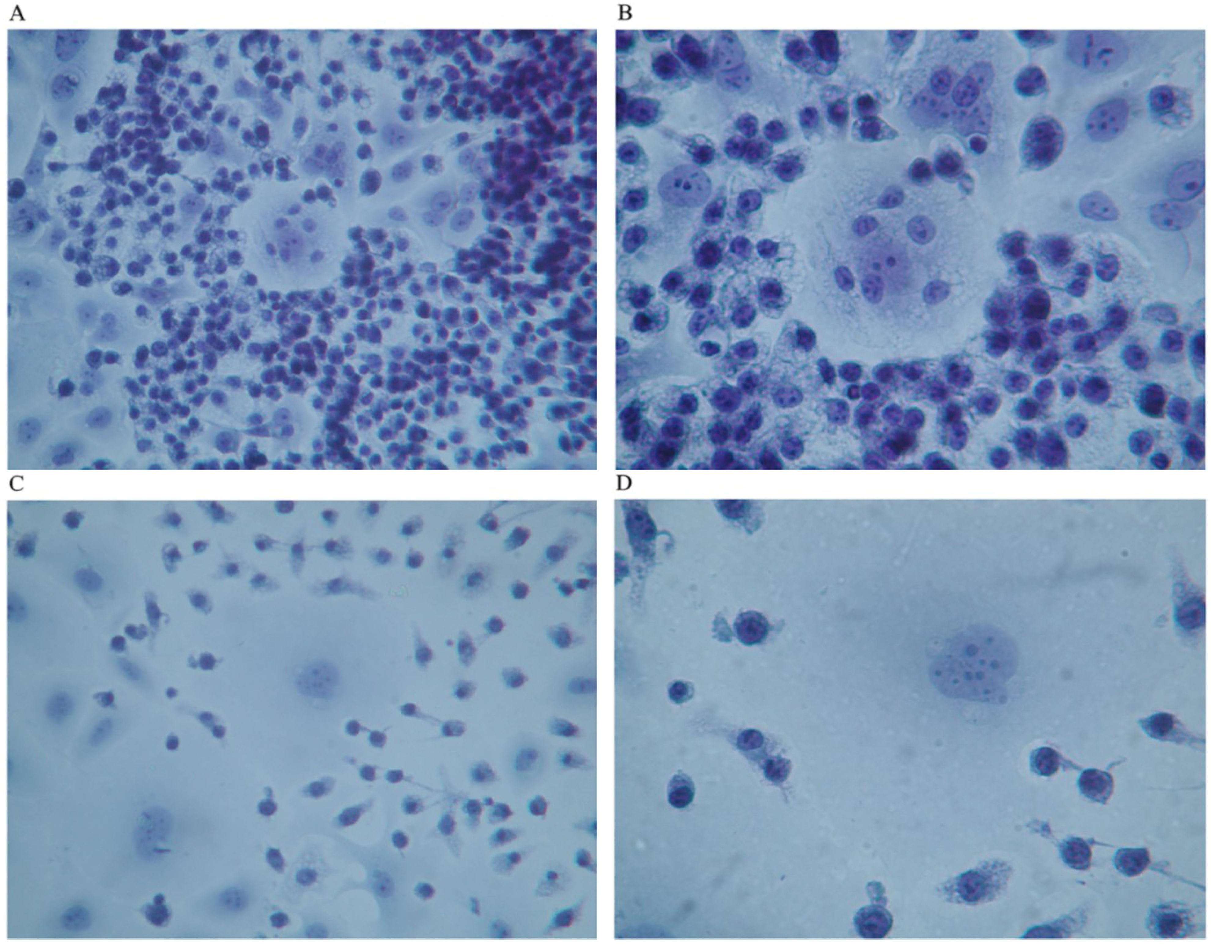 Nutrients 05 02577 g002