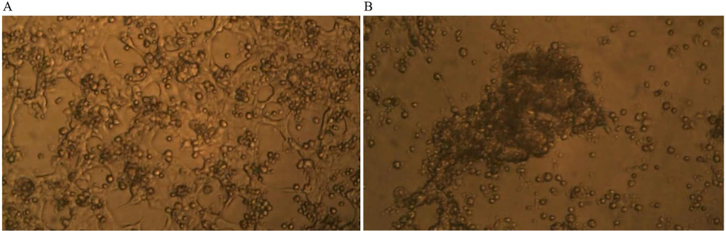 Nutrients 05 02577 g003 1024