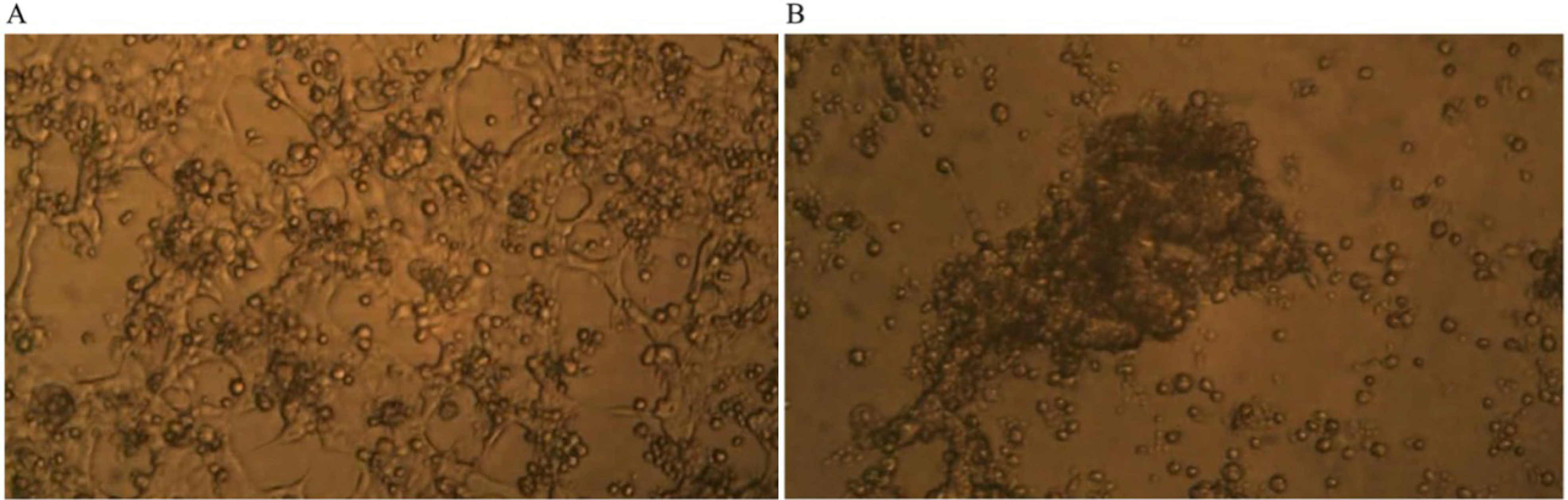 Nutrients 05 02577 g003