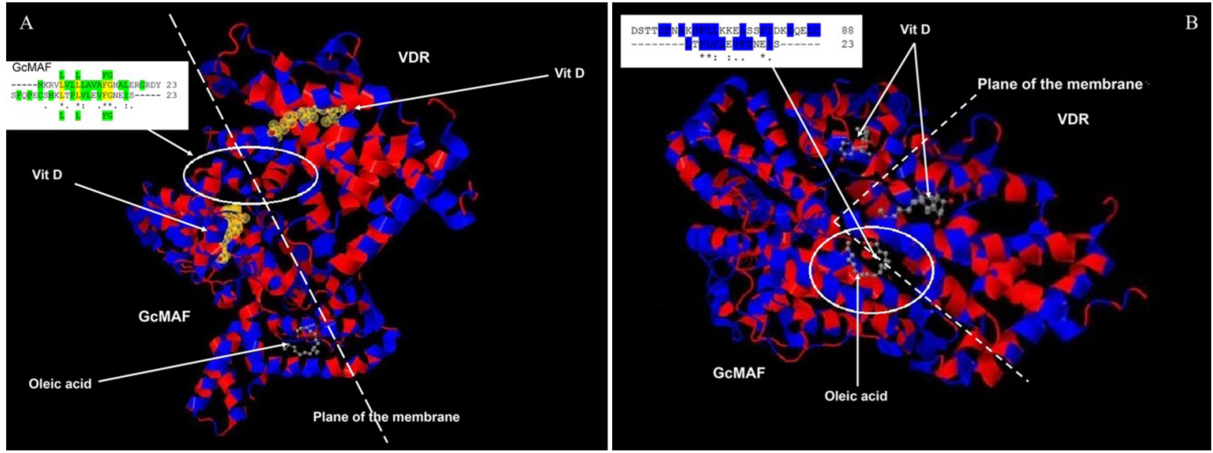Nutrients 05 02577 g004