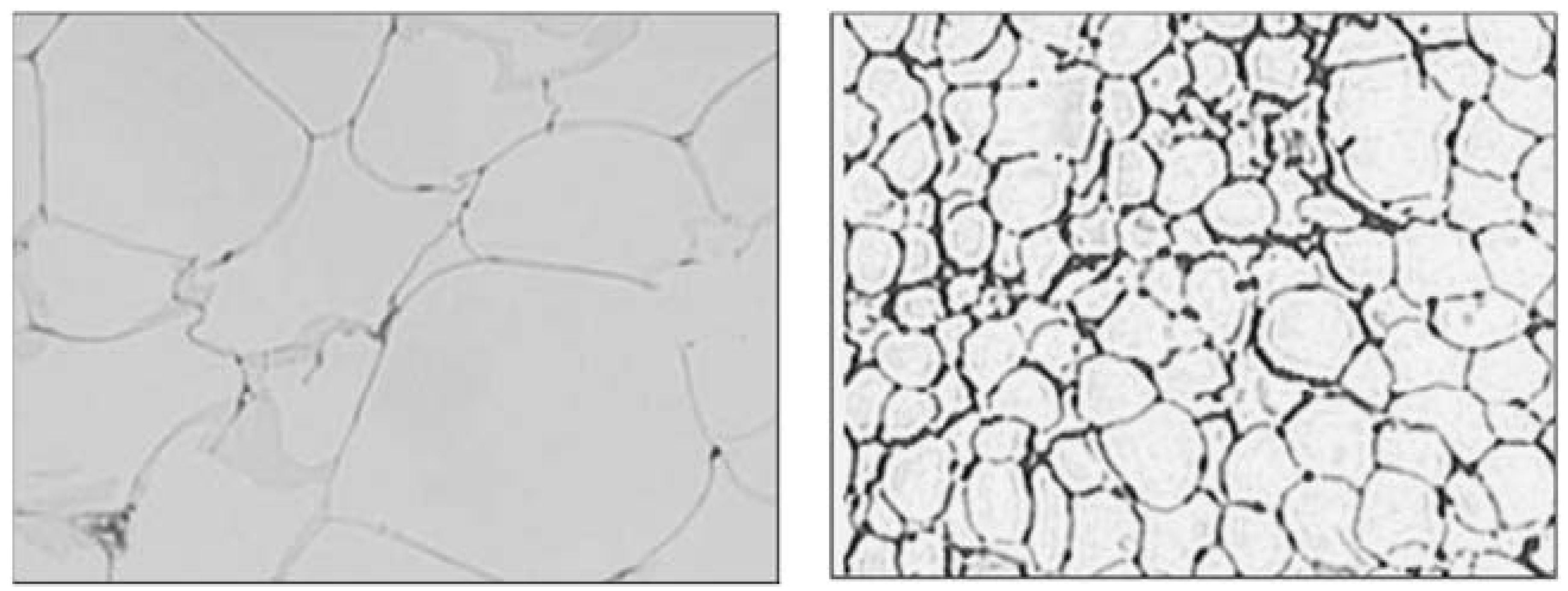 Nutrients 05 02708 g001