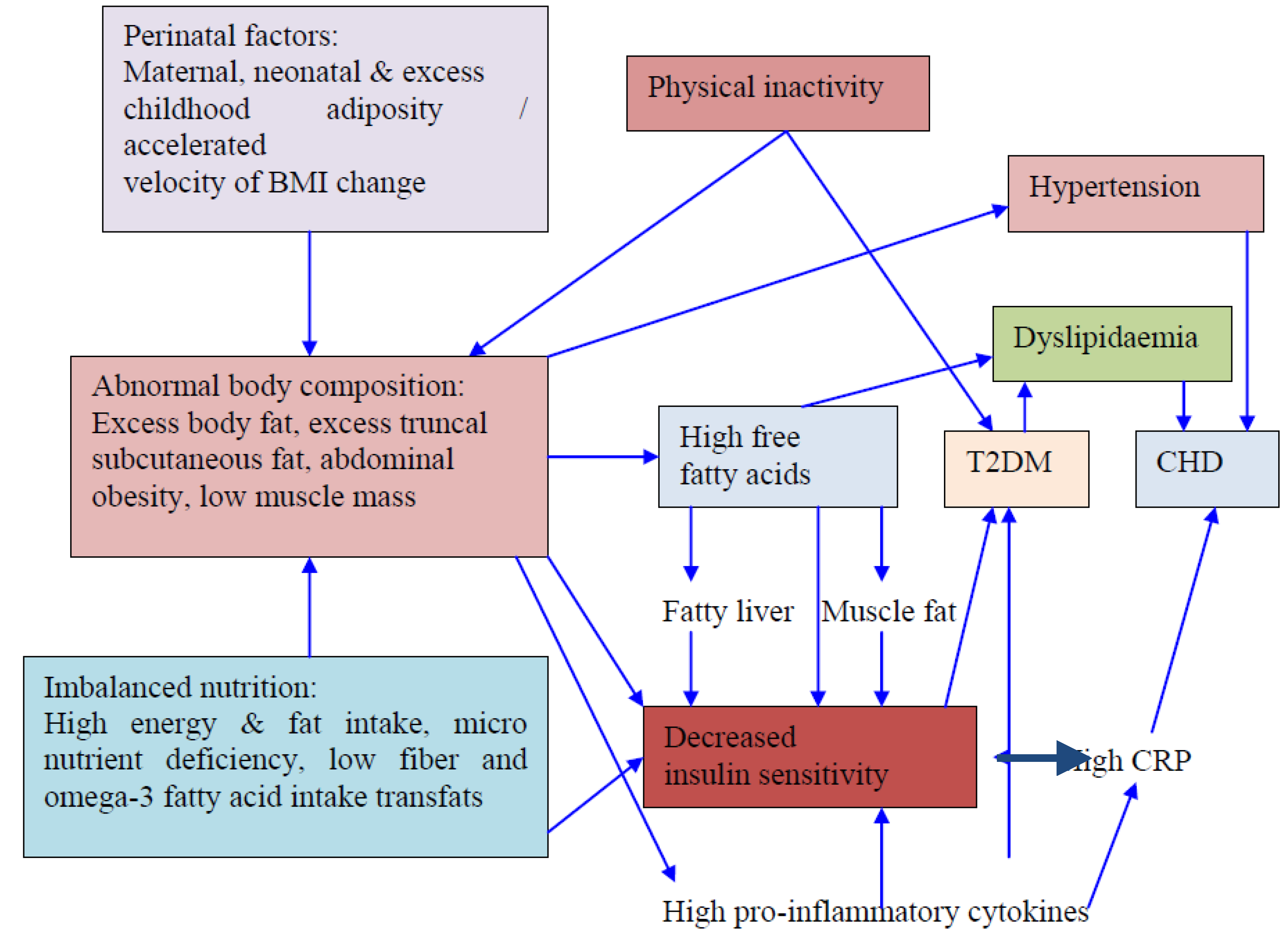 Nutrients 05 02708 g003