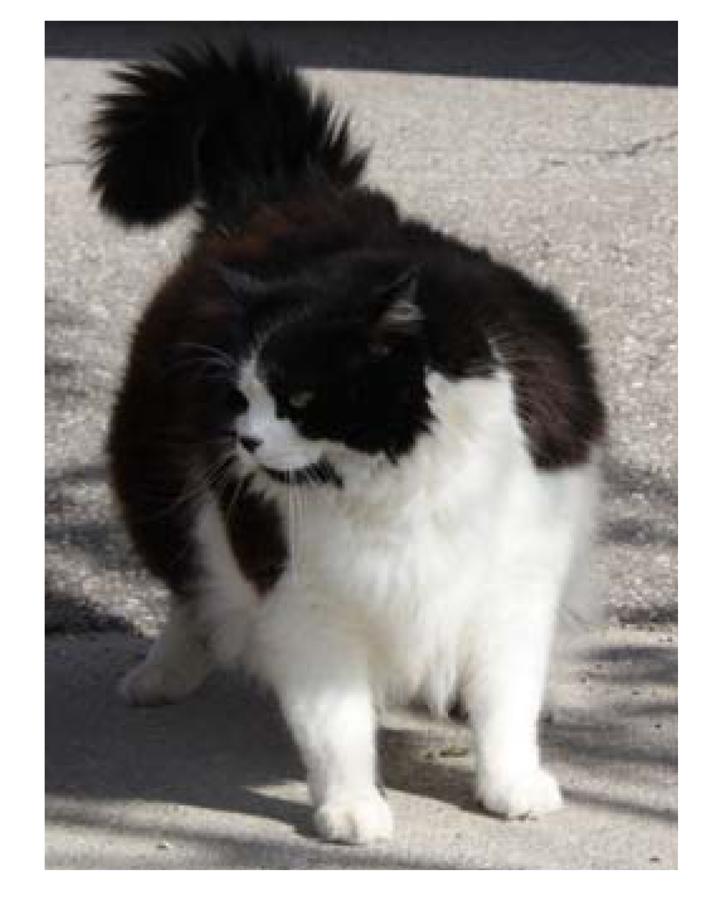 Nutrients 05 02811 g002 1024