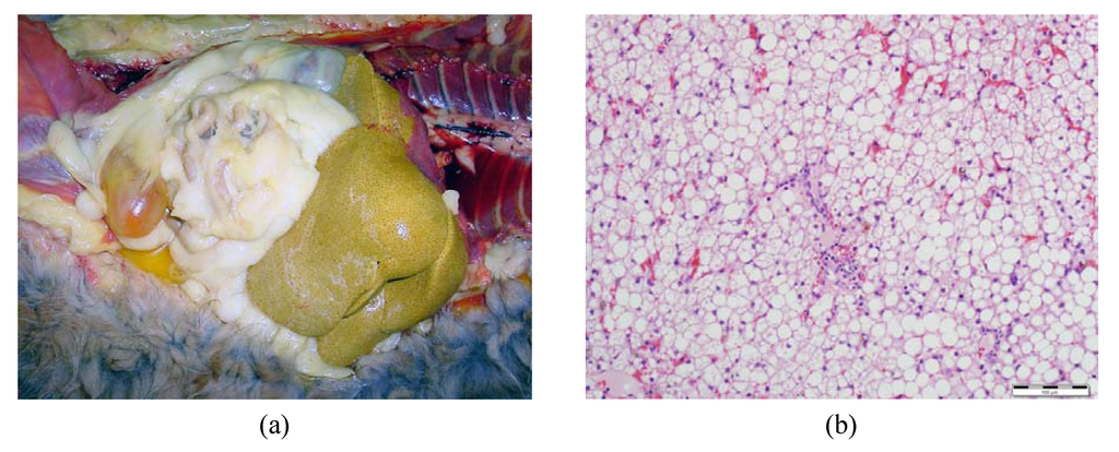 Nutrients 05 02811 g004 1024
