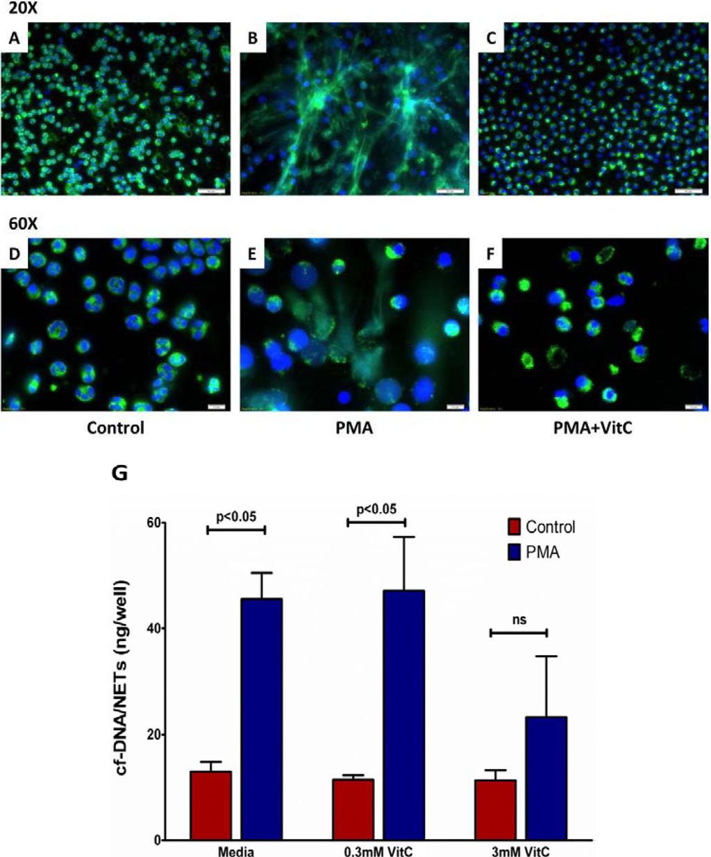 Nutrients 05 03131 g007 1024