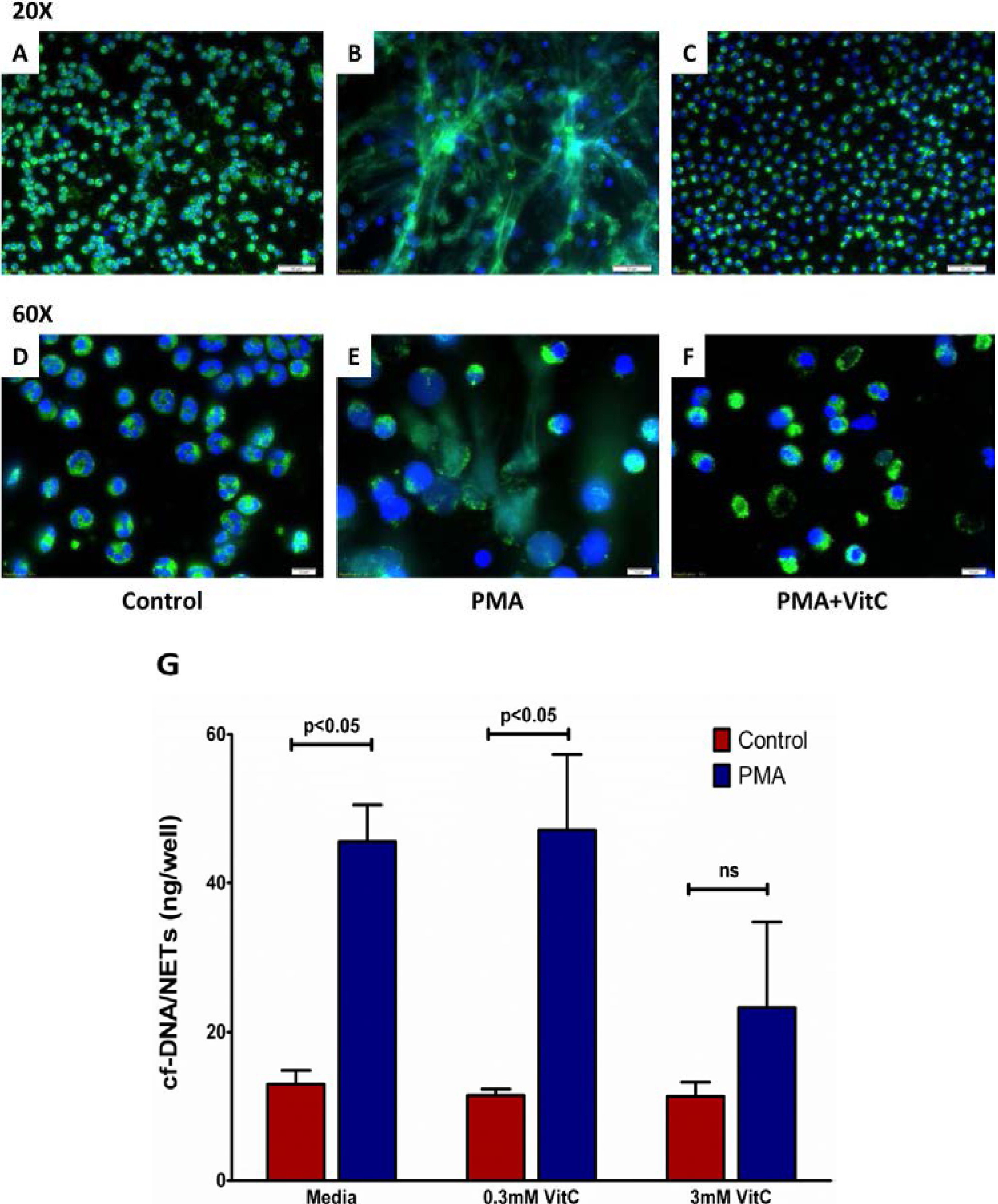 Nutrients 05 03131 g007