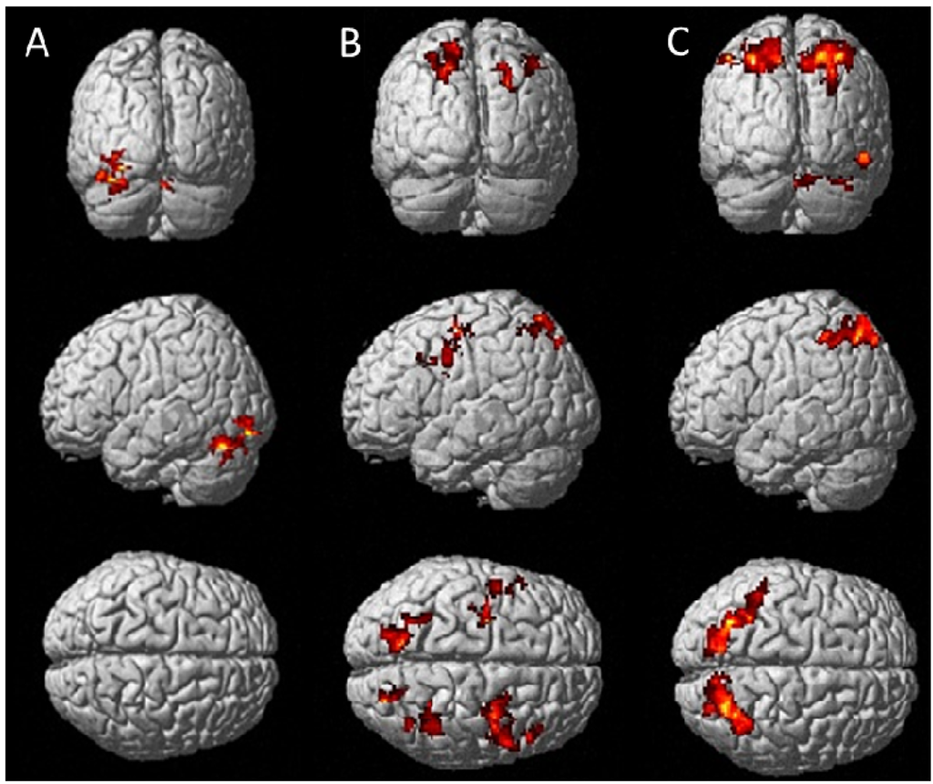 Nutrients 05 03589 g002 1024