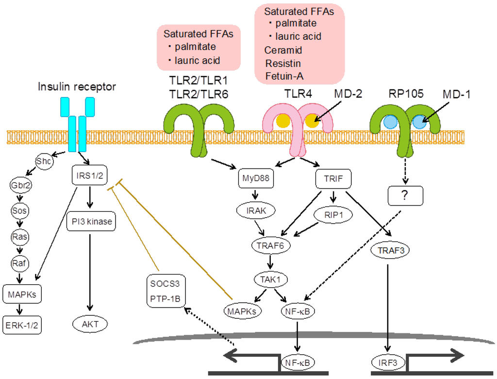 Nutrients 05 03757 g002 1024