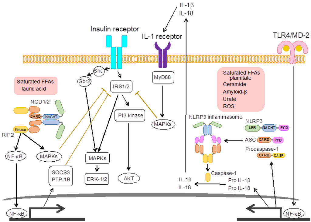 Nutrients 05 03757 g003 1024