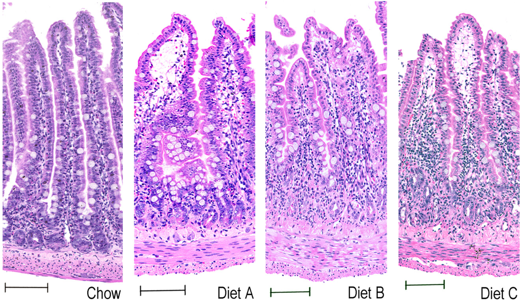 Nutrients 05 03948 g006 1024