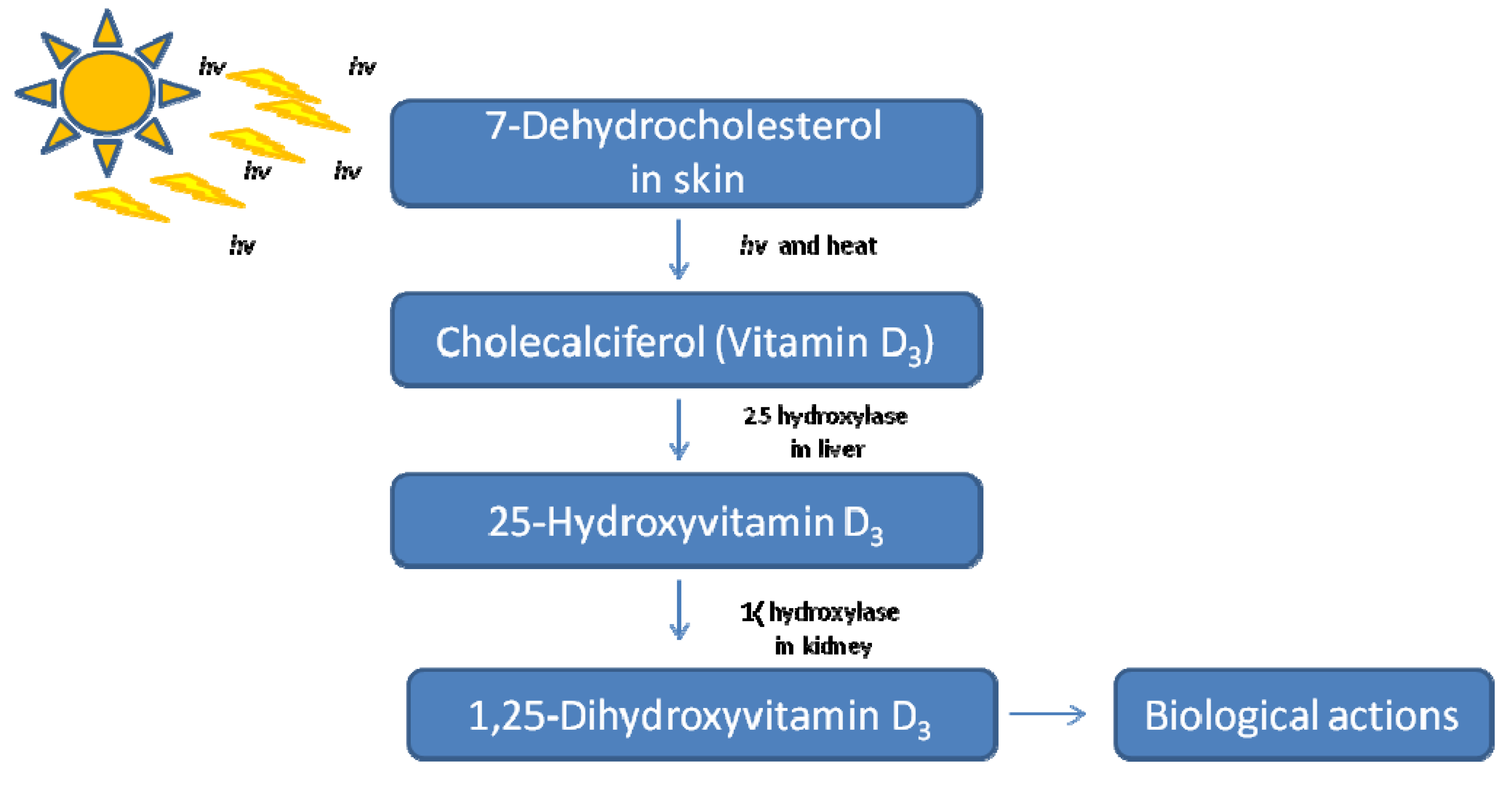 Nutrients 05 03993 g001