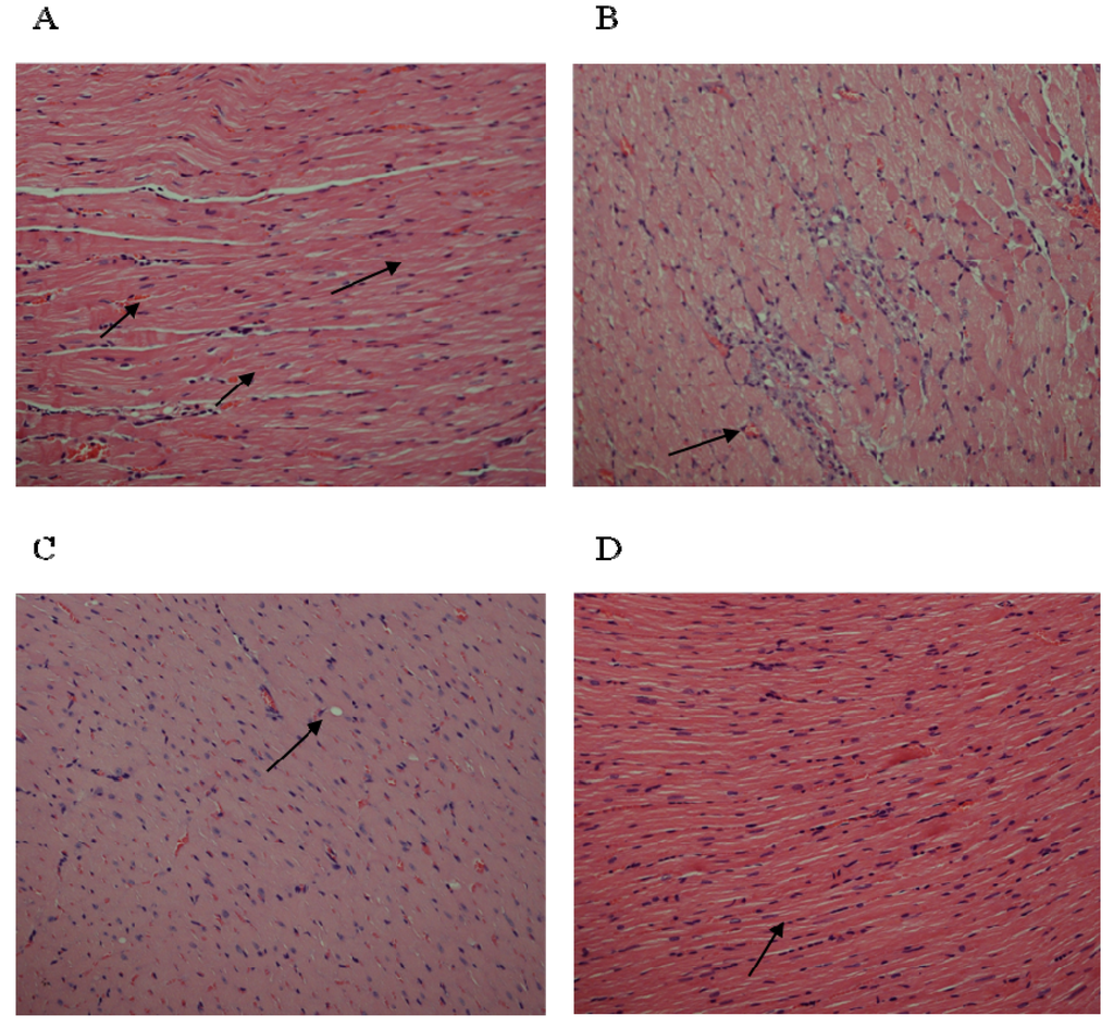 Nutrients 05 04269 g004 1024