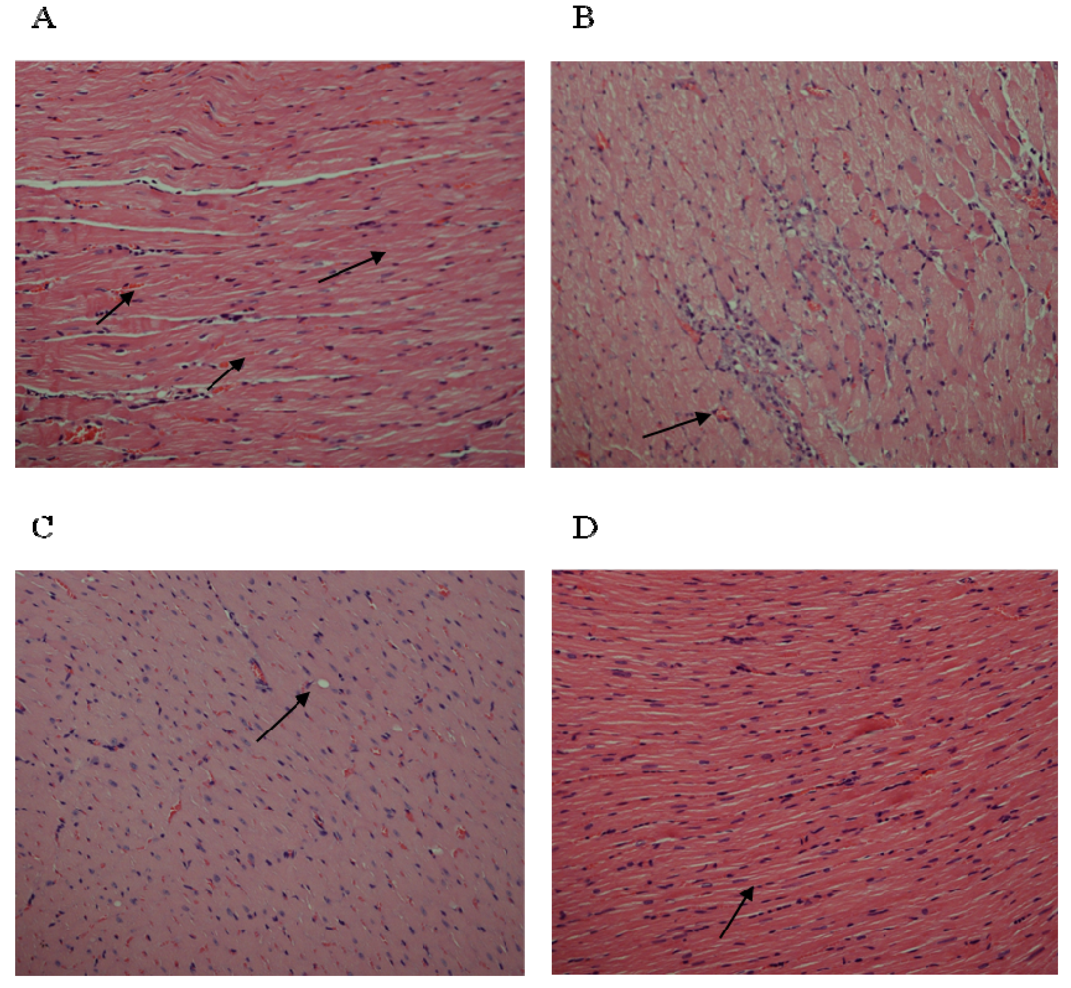 Nutrients 05 04269 g004