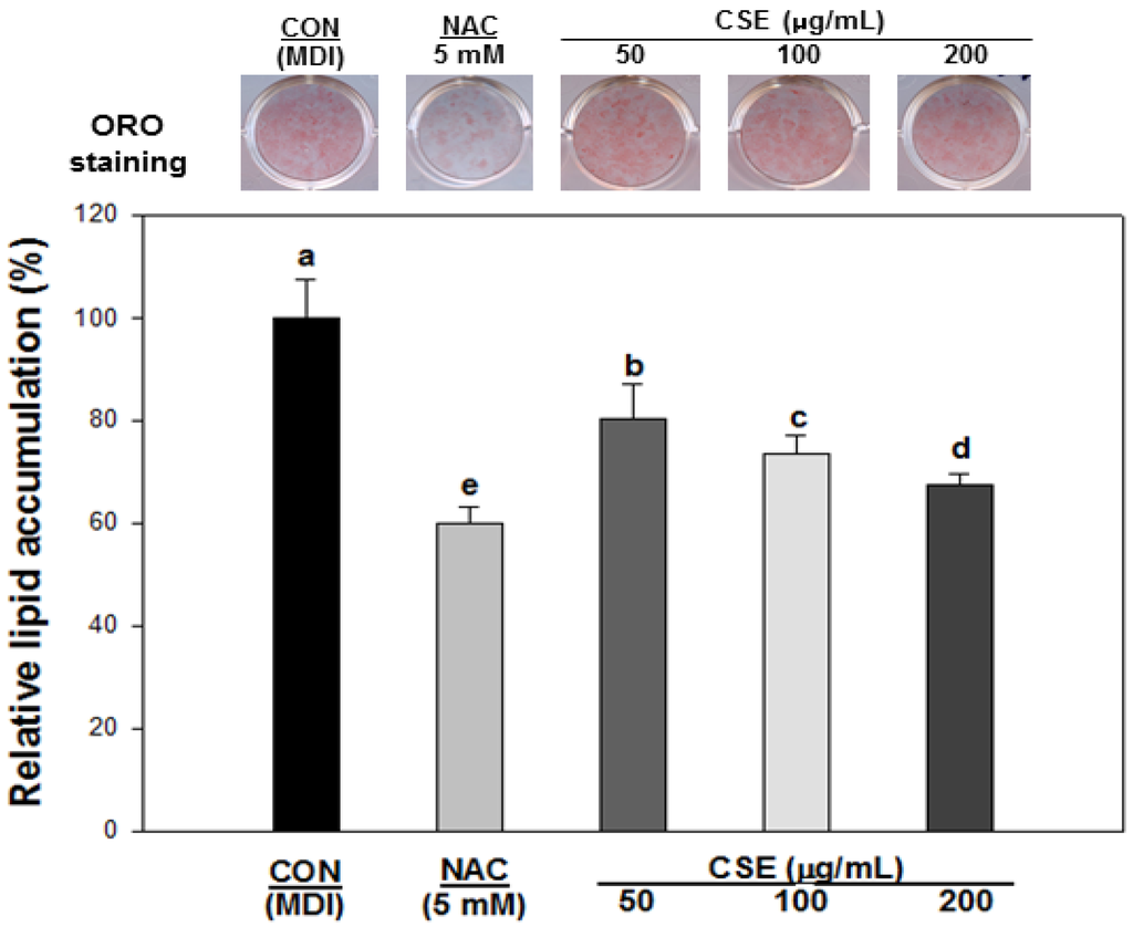 Nutrients 05 04894 g004 1024