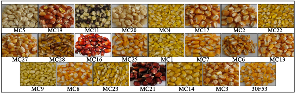 Nutrients 06 00546 g003 1024