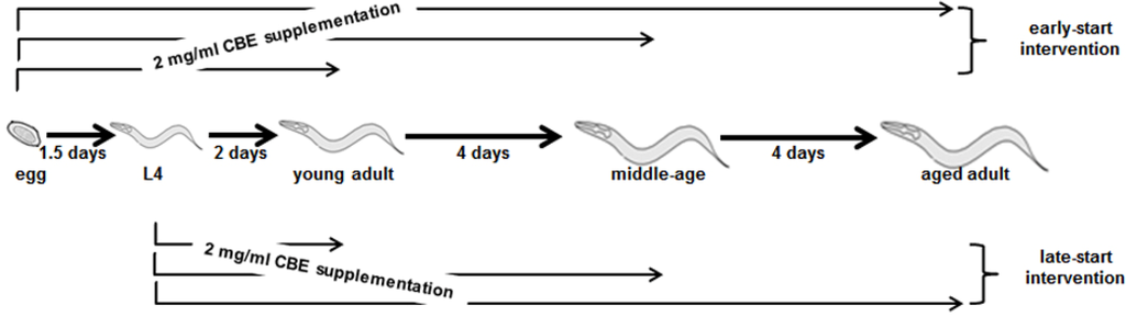 Nutrients 06 00911 g001 1024