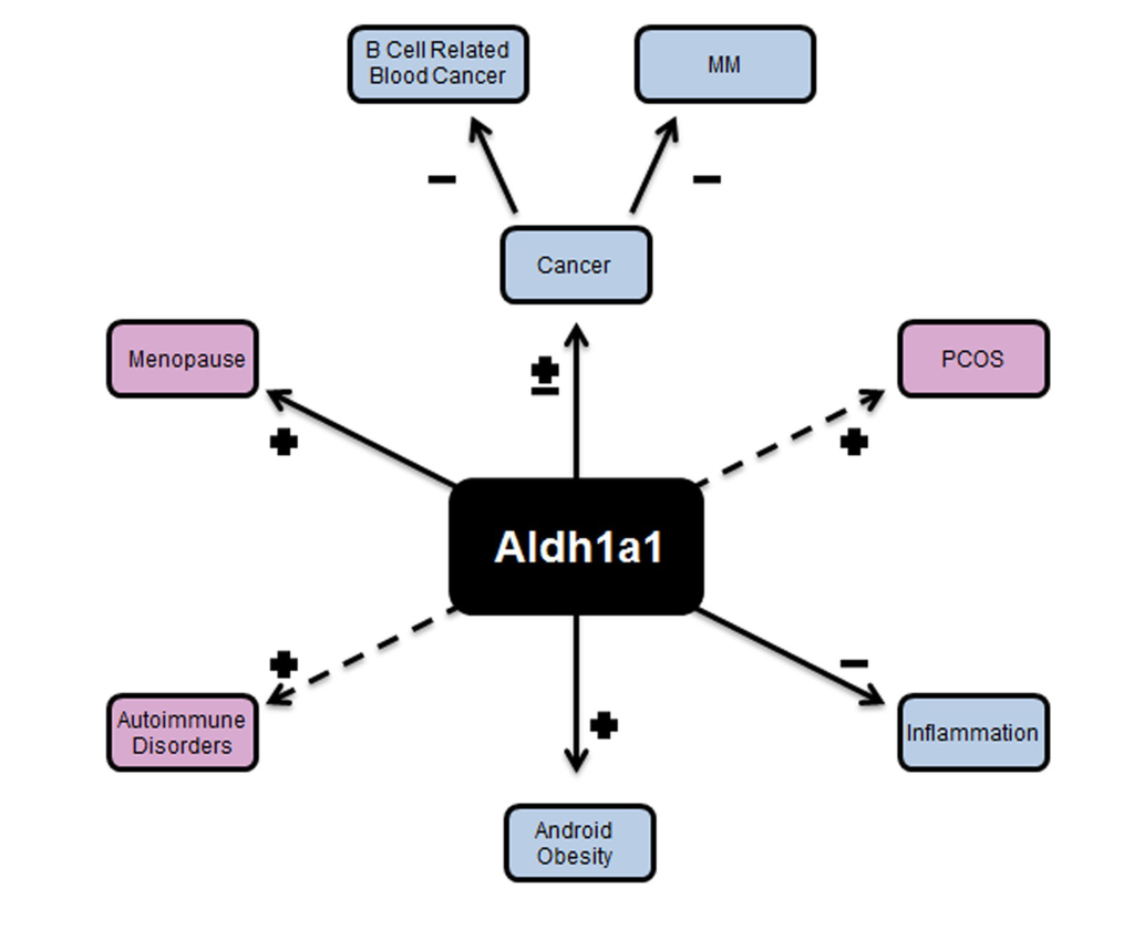 Nutrients 06 00950 g004 1024