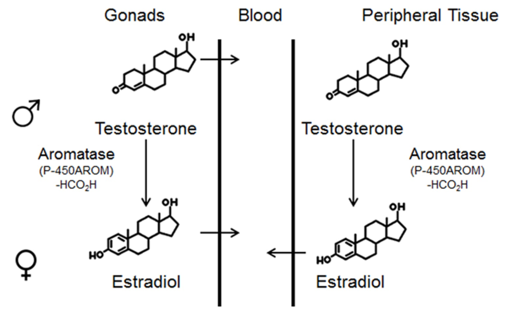 Nutrients 06 00950 g005 1024