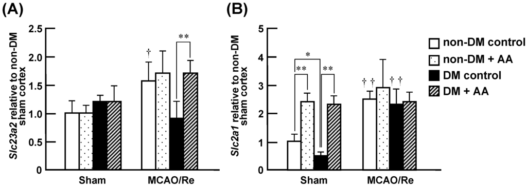 Nutrients 06 01554 g008 1024