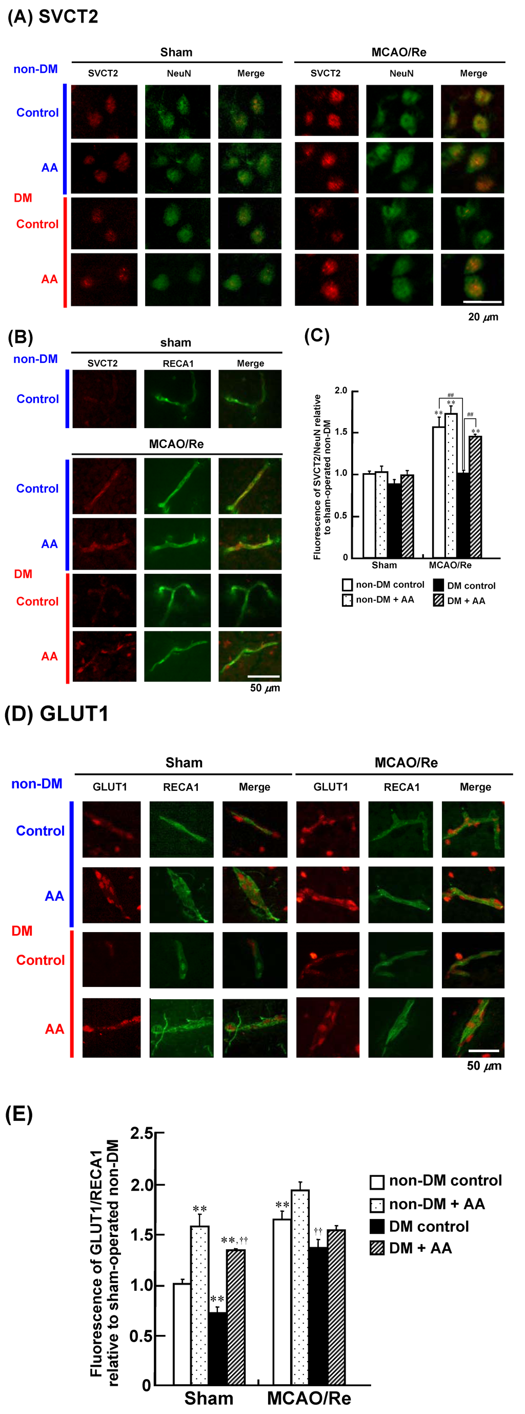 Nutrients 06 01554 g009 1024
