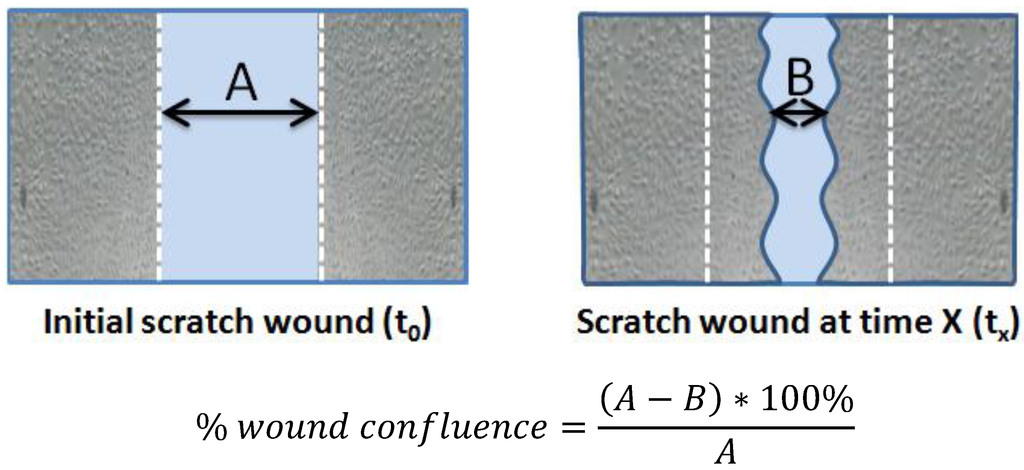 Nutrients 06 01618 g001 1024