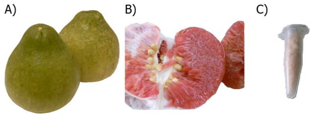 Nutrients 06 01618 g002 1024