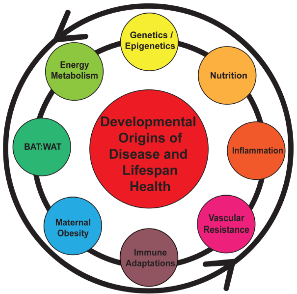 Nutrients 06 01725 g001 1024