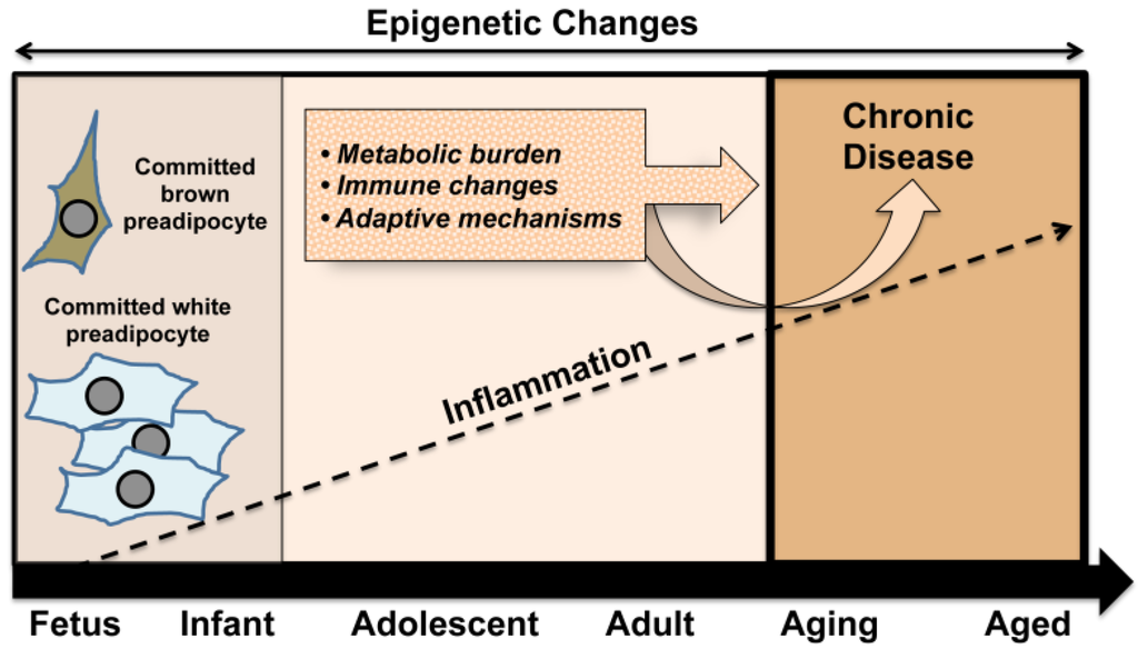Nutrients 06 01725 g002 1024