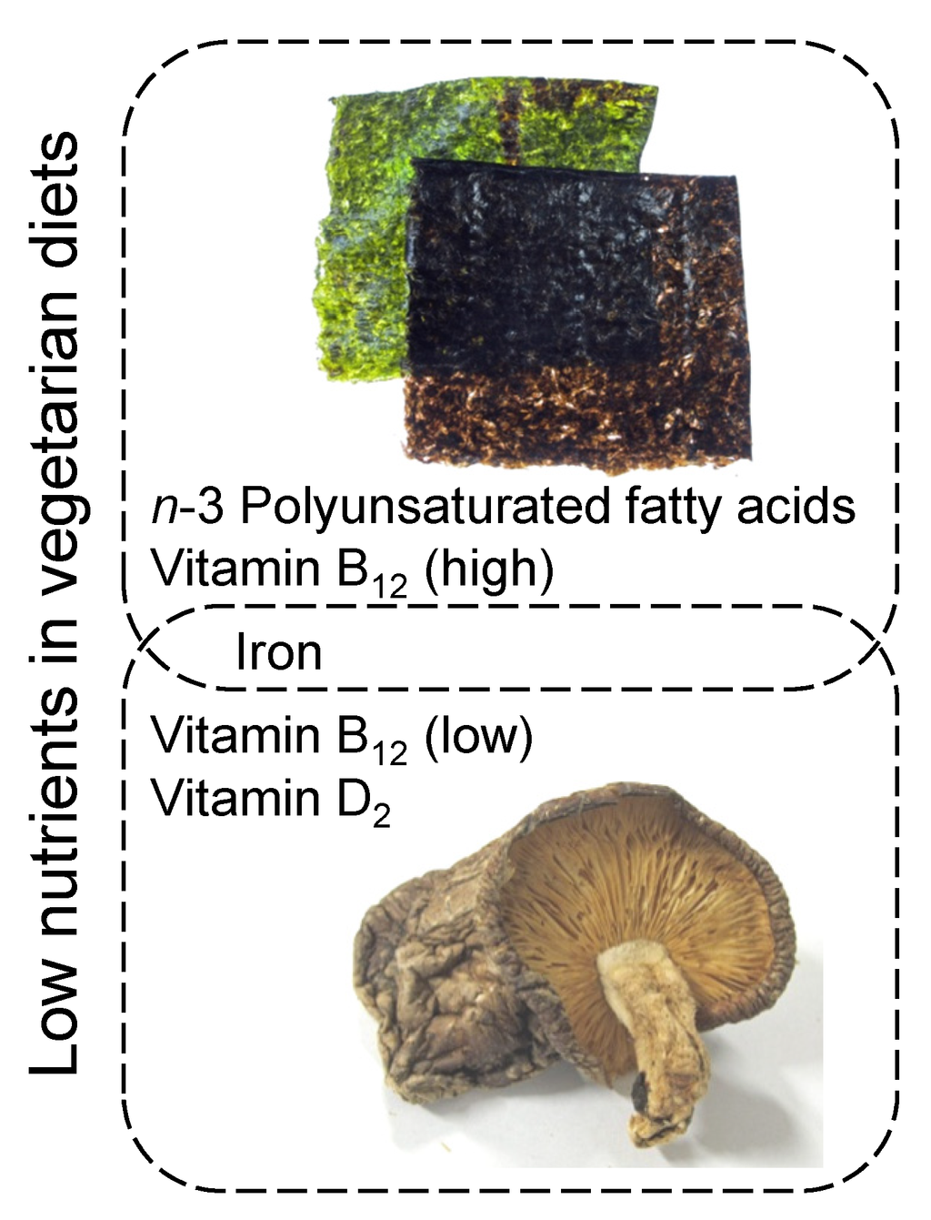 Nutrients 06 01861 g004 1024