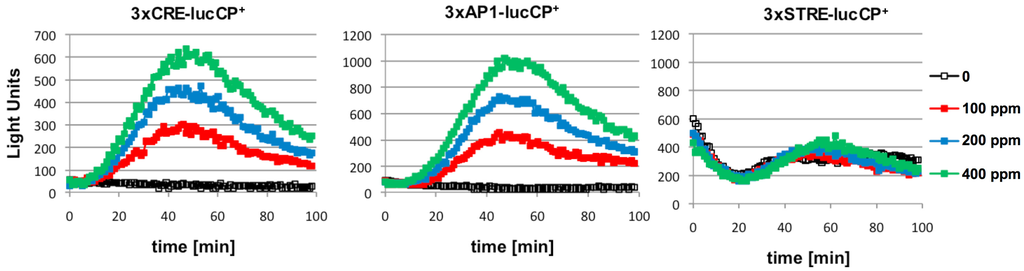 Nutrients 06 02077 g002 1024