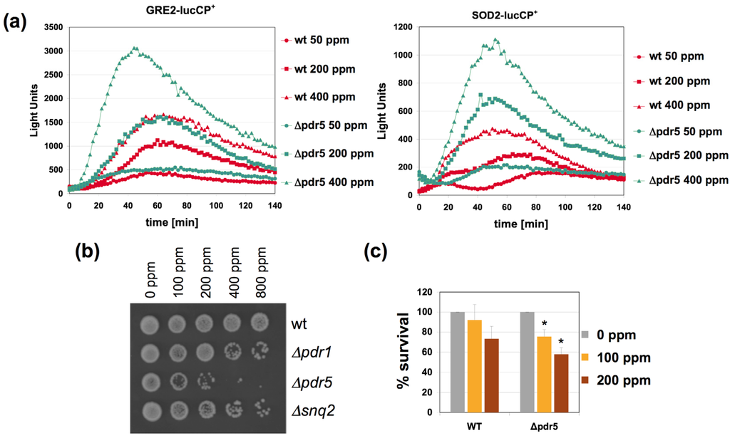 Nutrients 06 02077 g004 1024