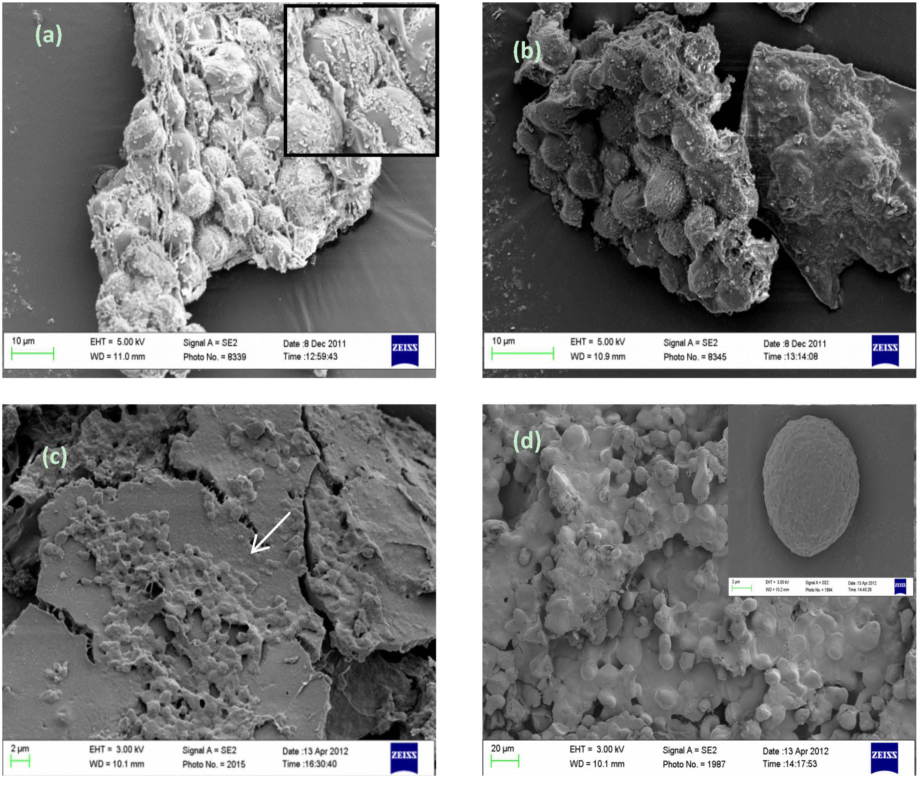 Nutrients 06 02104 g002