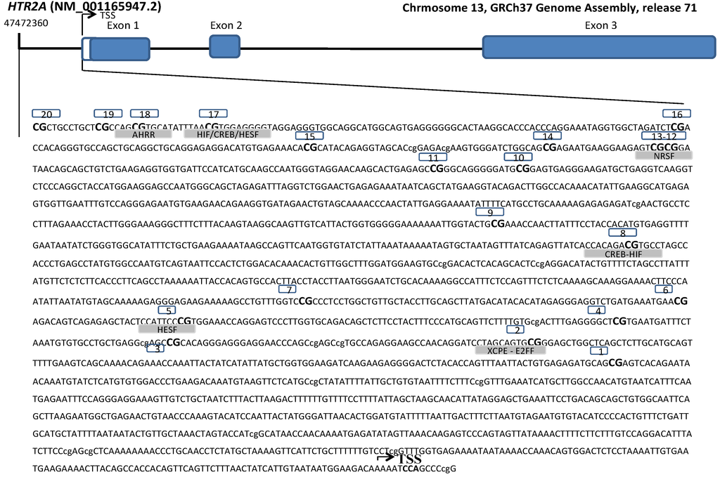 Nutrients 06 02387 g001 1024