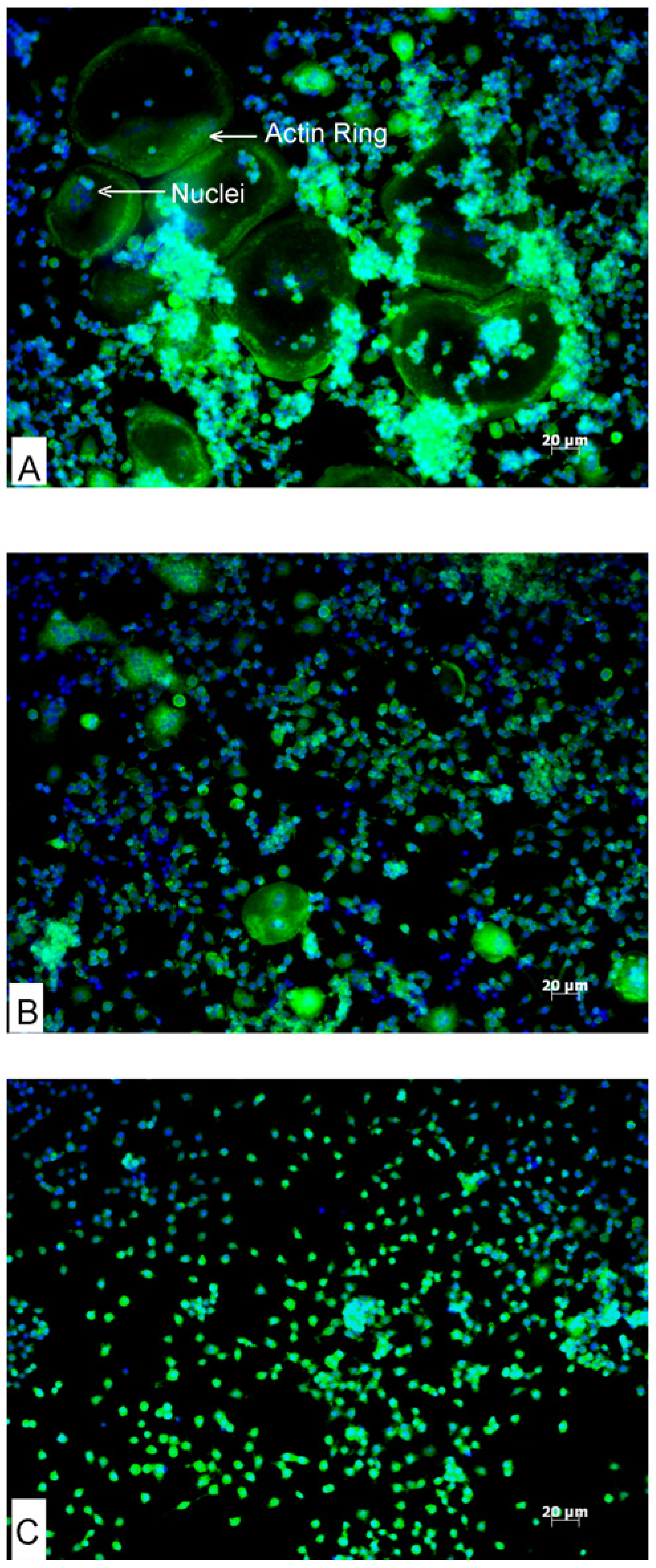 Nutrients 06 02584 g002