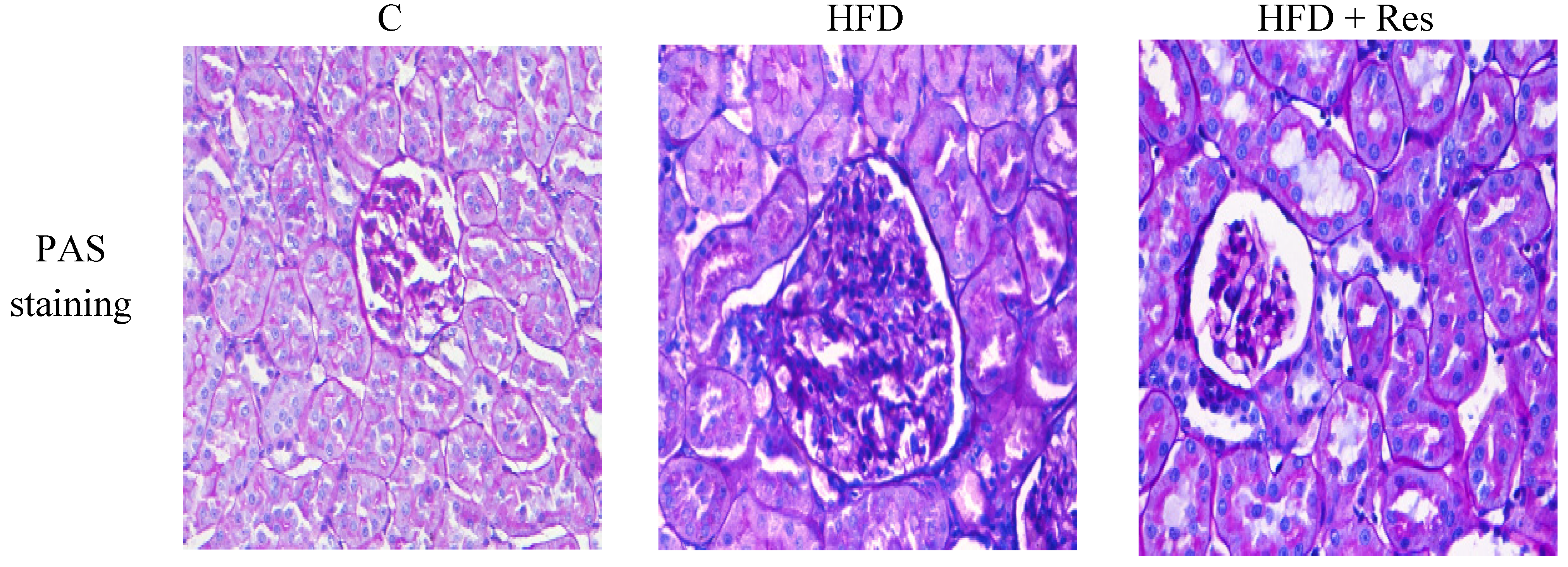 Nutrients 06 02619 g002