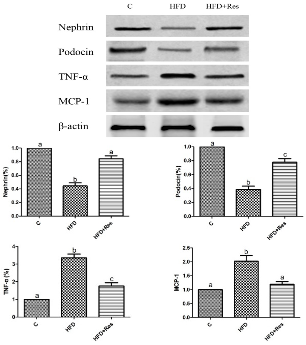 Nutrients 06 02619 g003 1024
