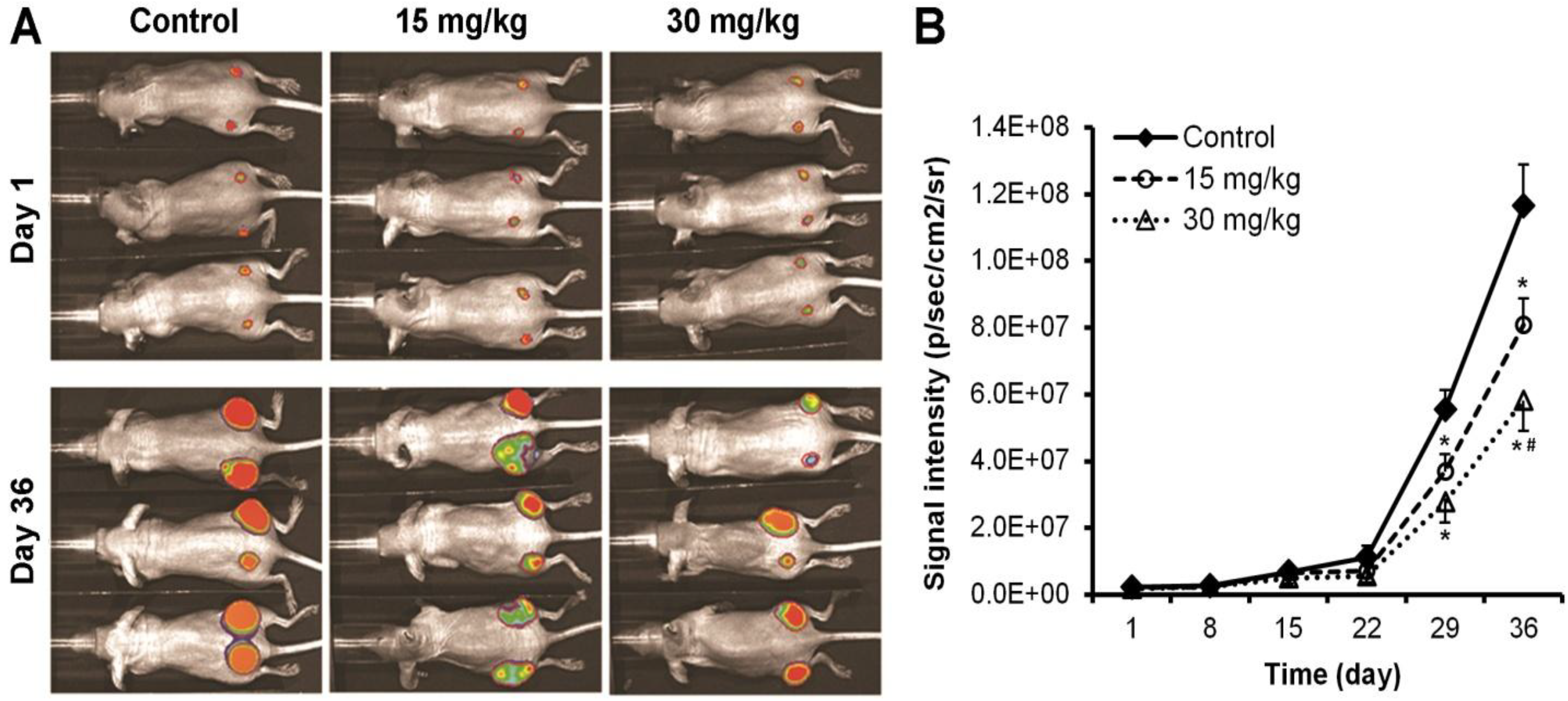 Nutrients 06 02668 g002